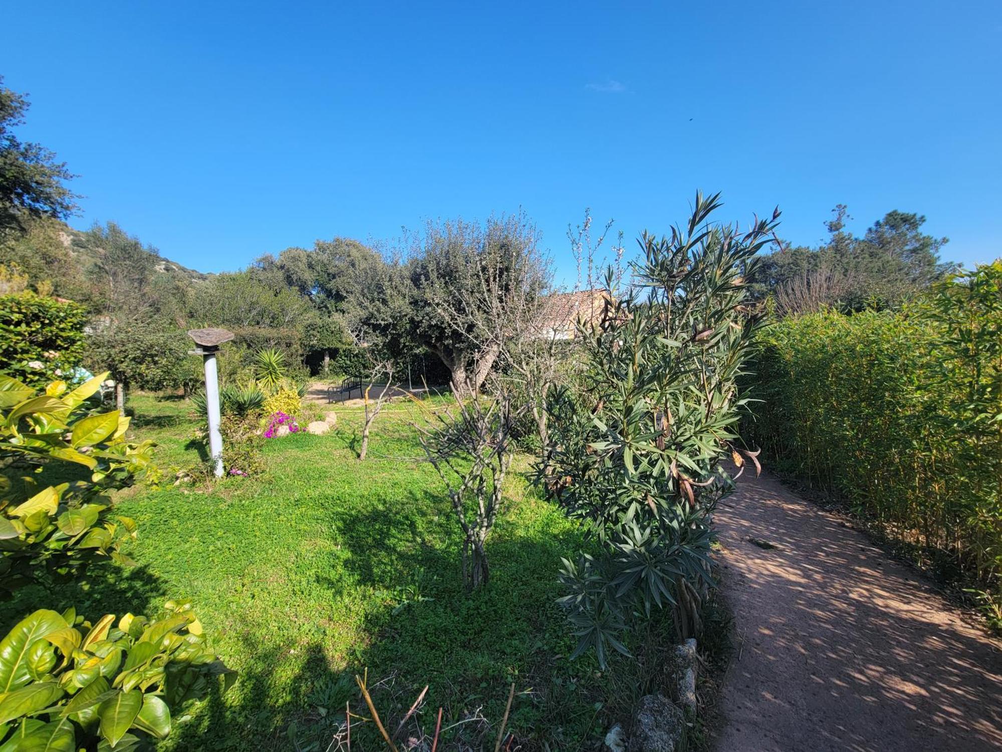 A Vigna Vecchia - Charmant 3 Pieces Sud Porto Vecchio Extérieur photo