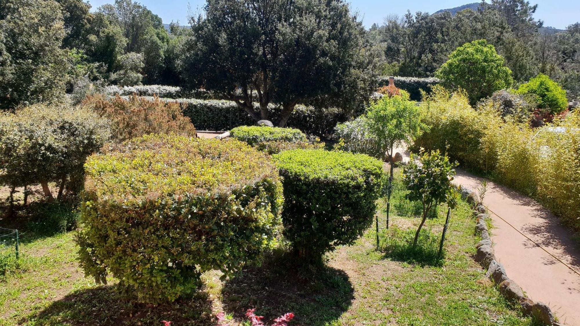 A Vigna Vecchia - Charmant 3 Pieces Sud Porto Vecchio Extérieur photo
